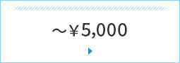 `￥5,000