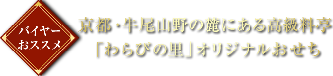 oC[XX sER̘[ɂ鍂uт̗vIWi