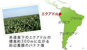 ԓ̃GNAh̕W300mɍLcӔ_̃oii