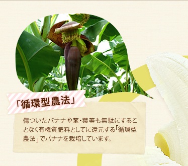 uz^_@voiisEtʂɂ邱ƂȂL@엿ƂĂɊҌz^_@Ńoii͔|Ă܂B