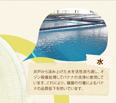  ˂狂ݏグY߂AI]Eۏăoii̐ɎgpĂ܂BɂAGۂ̕tɂoii̕iቺhł܂B