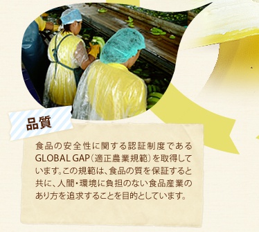 i HïSɊւFؐxłGLOBALGAPiK_ƋḰj擾Ă܂B̋K͂́AHi̎ۏ؂ƋɁAlԁEɕŜȂHiYƂ̂ǋ邱ƂړIƂĂ܂B