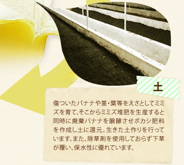 y oiisEtƂă~~YāA~~Y͔𐶎YƓɔpoii𔮍y{JV엿쐬yɊҌBysĂ܂B܂A܂gpĂ炸AېɗDĂ܂B