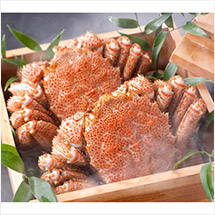 ���k�C���������т��Ɂi2���j1�D0kg