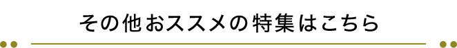 ̑XX̓W͂