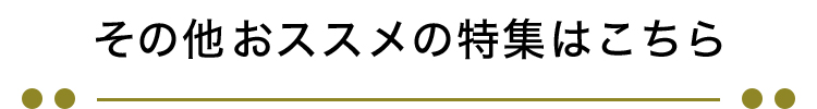 ̑XX̓W͂