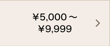 ￥5,000`￥9,999