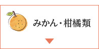 みかん・柑橘類