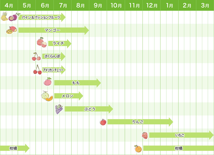 �J�����_�[