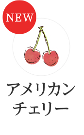 NEW �A�����J���`�F���[