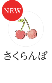 NEW ��������