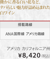 �����ɍ��锒���ԂȂǁA�i�p�炵�����͂��l�ߍ��܂ꂽ�����C�� ���ژH�� ANA���ې� �A�����J�H�� �A�����J �J���t�H���j�A�B &yen;8,420�i�ō��j