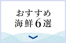 �������� �C�N6�I