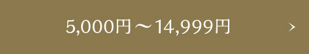 5,000~`14,999~