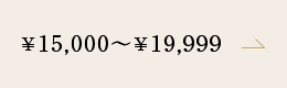 ¥15,000`¥19,999