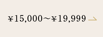 ¥15,000`¥19,999