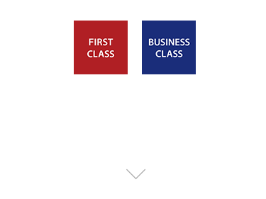 2025�N�x�̗p���C��