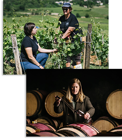 畑から醸造まで細部にこだわりテロワールを表現