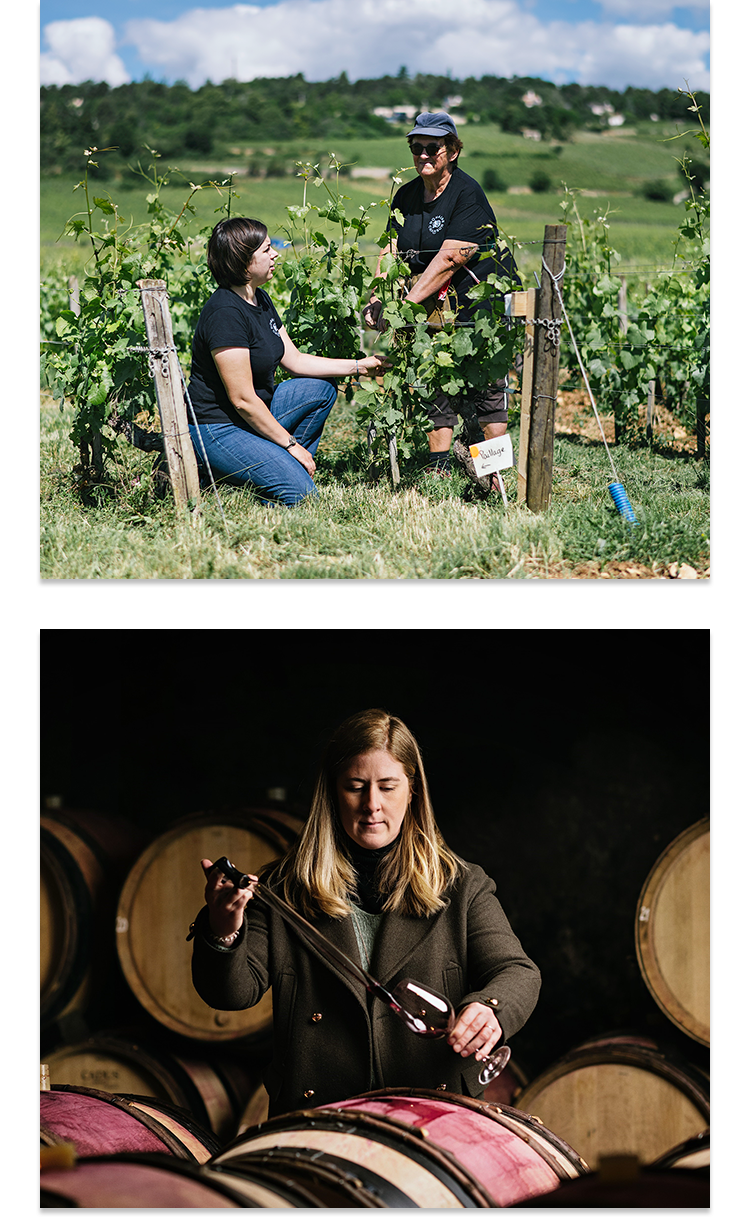 畑から醸造まで細部にこだわりテロワールを表現