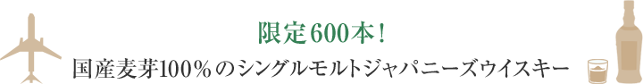 600{I Y100%̃VOgWpj[YECXL[