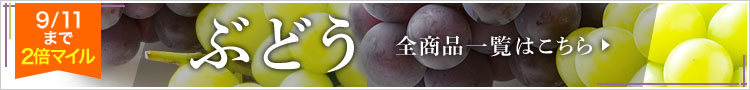 Ԃǂiꗗ