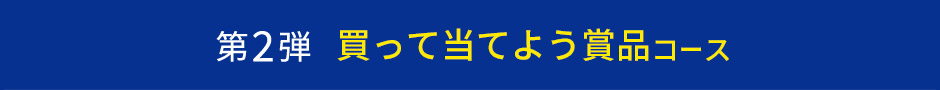 2e ēĂ悤ܕiR[X