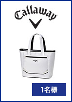 LEFCSPORT@TOTEizCg/Vo[jiTR CG SPORT TOTE WHT/SLV 25 JMj