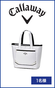 LEFCSPORT@TOTEizCg/Vo[jiTR CG SPORT TOTE WHT/SLV 25 JMj