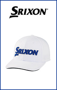 SRIXONXN\ Lbv SMH3130X cA[vpf