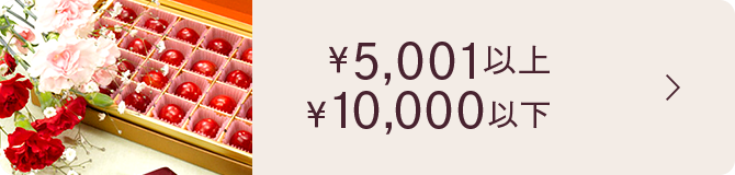 ￥5,001ȏ ￥10,000ȉ