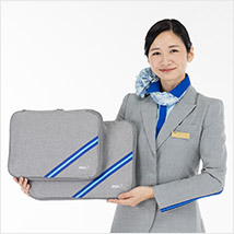 ��ANA�I���W�i�������j�t�H�[���R���N�V���� (CA) ���k�|�[�` ML�Z�b�g