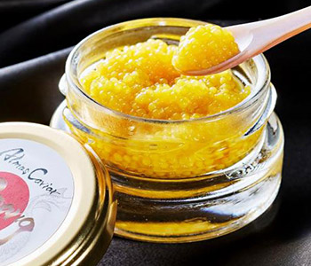 S Caviar LaboZipang@F̍YLrA25g