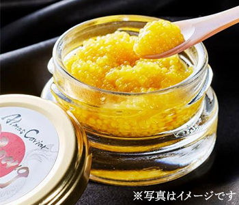 S Caviar LaboZipang@F̍YLrA25g