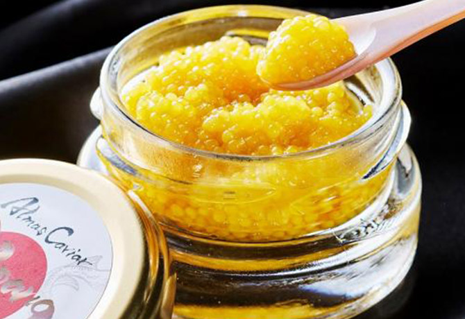 S Caviar LaboZipang@F̍YLrA25g