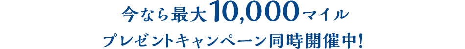 Ȃő10,000}C v[gLy[JÒI 