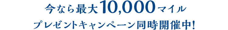 Ȃő10,000}C v[gLy[JÒI 
