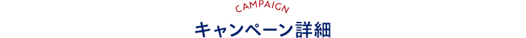 CAMPAIGN Ly[ڍ