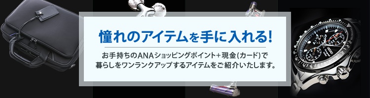 ����̃A�C�e������ɓ����!���莝����ANA�V���b�s���O�|�C���g+����(�J�[�h)�ŕ�炵�����������N�A�b�v����A�C�e�������Љ�����܂��B