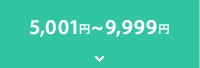 5,001�~�`9,999�~